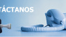 Contacto